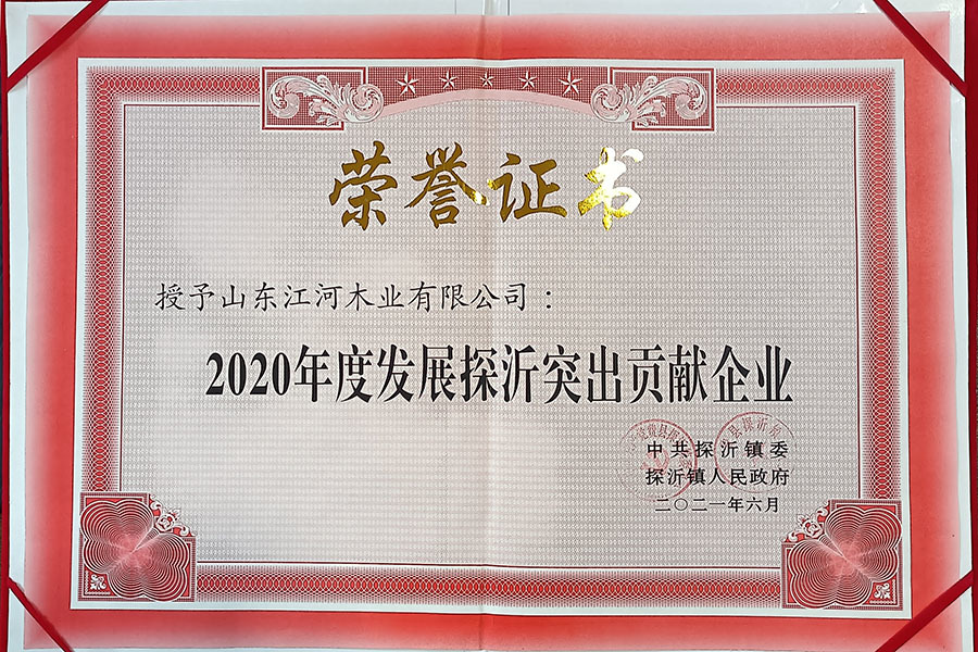 2020年度發展探沂突出貢獻企業